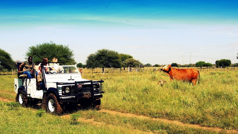 Dornhuegel Guestfarm Hotell Grootfontein Exteriör bild